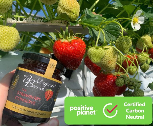 strawberry jam and plants