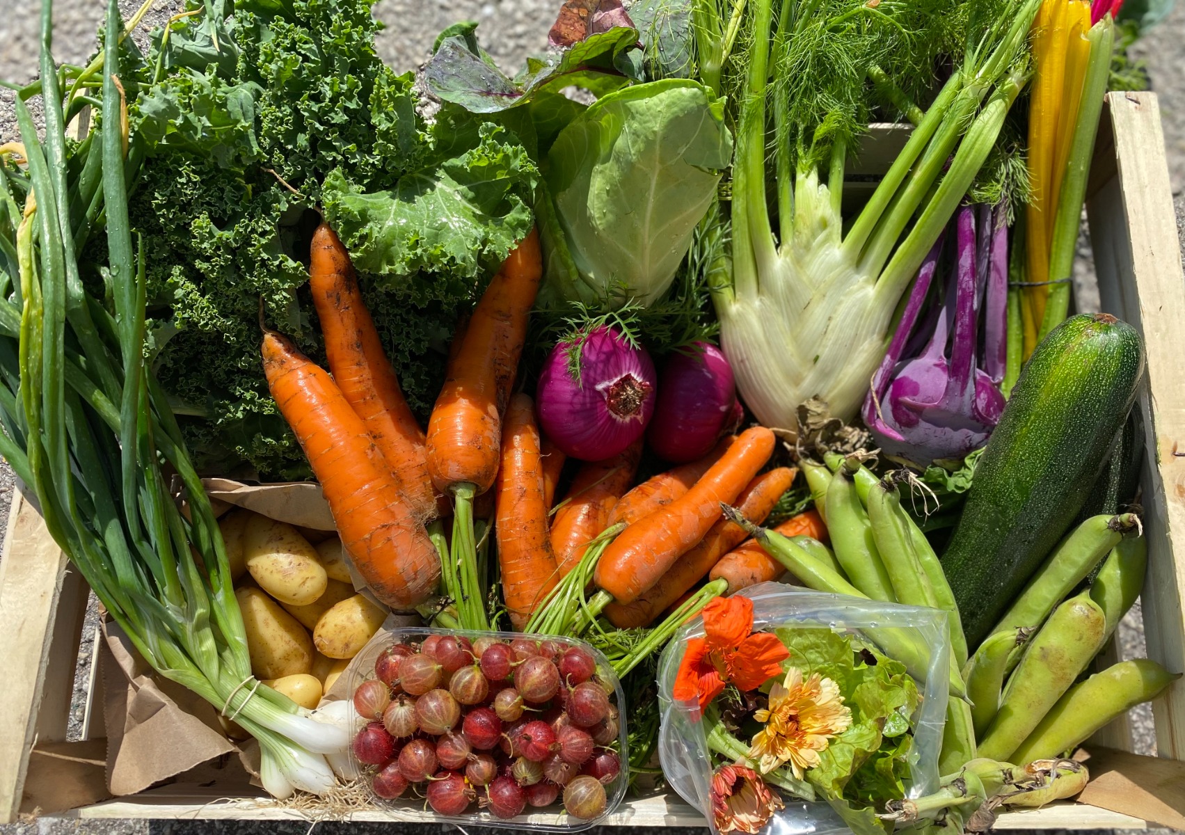 box of naturally grown vegetables